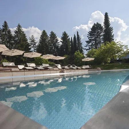 Parkhotel Adler Szálloda