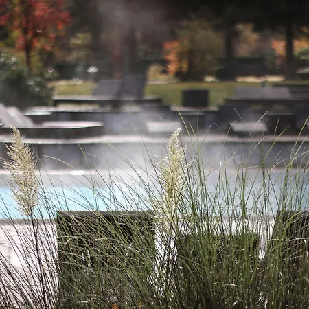 파크호텔 아들러 5*