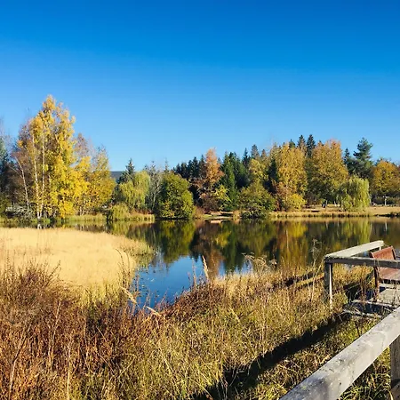 호텔 파크호텔 아들러