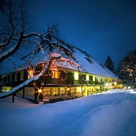 Hotel Parkhotel Adler