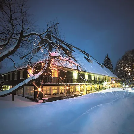 Szálloda Parkhotel Adler