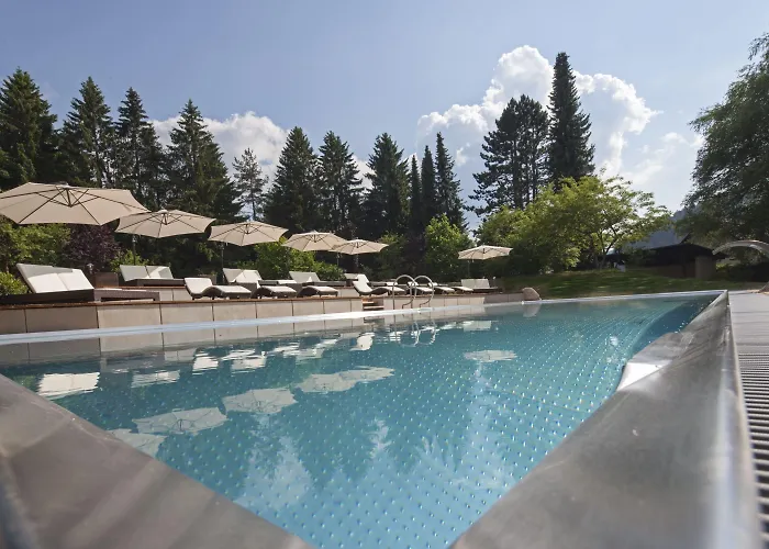 Parkhotel Adler Hotel