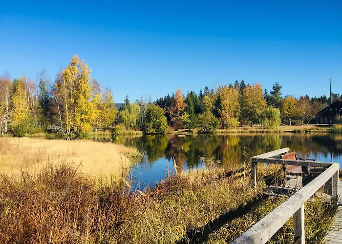 Hotel Parkhotel Adler