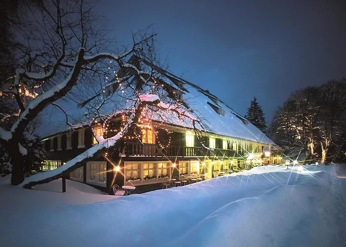 Hotel Parkhotel Adler